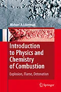 E-Book (pdf) Introduction to Physics and Chemistry of Combustion von Michael A. Liberman