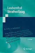 E-Book (pdf) Strafvollzug von Klaus Laubenthal