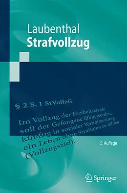E-Book (pdf) Strafvollzug von Klaus Laubenthal