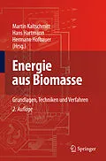 E-Book (pdf) Energie aus Biomasse von Martin Kaltschmitt, Hans Hartmann, Hermann Hofbauer