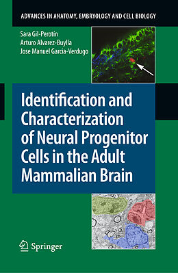 eBook (pdf) Identification and Characterization of Neural Progenitor Cells in the Adult Mammalian Brain de Sara Gil-Perotín, Arturo Alvarez-Buylla, Jose Manuel Garcia-Verdugo