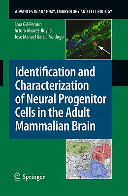 E-Book (pdf) Identification and Characterization of Neural Progenitor Cells in the Adult Mammalian Brain von Sara Gil-Perotín, Arturo Alvarez-Buylla, Jose Manuel Garcia-Verdugo