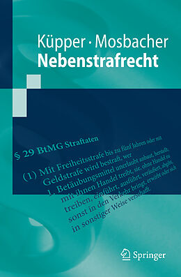 Kartonierter Einband Nebenstrafrecht von Georg Küpper, Andreas Mosbacher