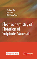 E-Book (pdf) Electrochemistry of Flotation of Sulphide Minerals von Yuehua Hu, Wei Sun, Dianzuo Wang