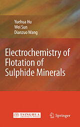 eBook (pdf) Electrochemistry of Flotation of Sulphide Minerals de Yuehua Hu, Wei Sun, Dianzuo Wang