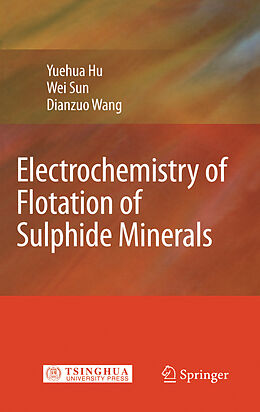 eBook (pdf) Electrochemistry of Flotation of Sulphide Minerals de Yuehua Hu, Wei Sun, Dianzuo Wang