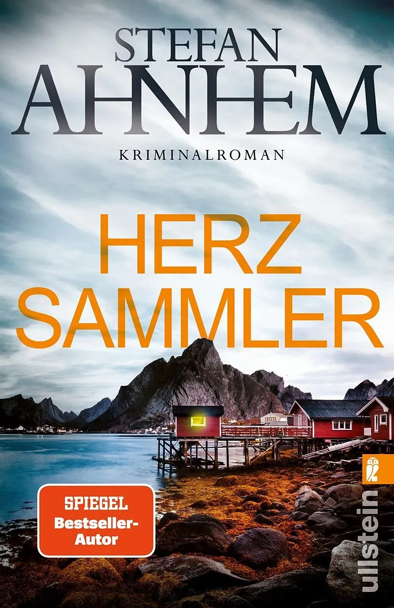 Herzsammler (Ein Fabian-Risk-Krimi 2)