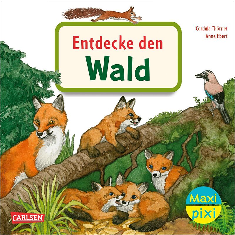 Maxi Pixi 399: VE 5 Entdecke den Wald (5 Exemplare)