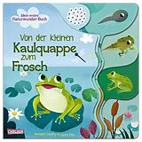 Pappband Von der kleinen Kaulquappe zum Frosch von Annabel Savery
