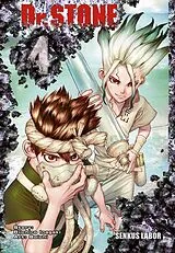 Kartonierter Einband Dr. Stone 4 von BOICHI, Riichiro Inagaki