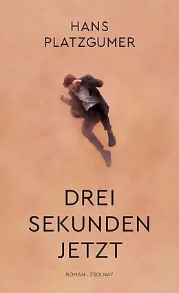 E-Book (epub) Drei Sekunden Jetzt von Hans Platzgumer