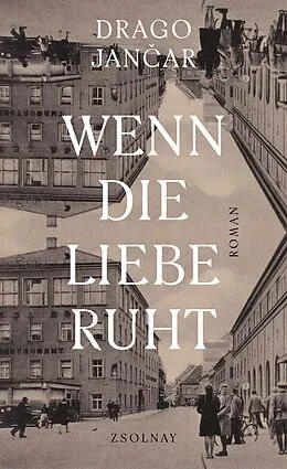 E-Book (epub) Wenn die Liebe ruht von Drago Jancar