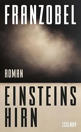 E-Book (epub) Einsteins Hirn von Franzobel