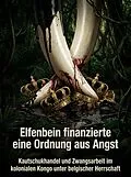 E-Book (epub) Elfenbein finanzierte eine Ordnung aus Angst von Matthias Ehrenbruck
