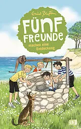 Fester Einband Fünf Freunde machen eine Entdeckung von Enid Blyton