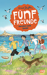 Fester Einband Fünf Freunde meistern jede Gefahr von Enid Blyton