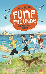Fester Einband Fünf Freunde meistern jede Gefahr von Enid Blyton