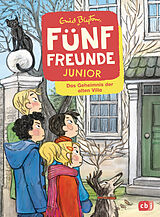 Fester Einband Fünf Freunde JUNIOR - Das Geheimnis der alten Villa von Enid Blyton