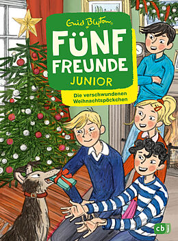 Fester Einband Fünf Freunde JUNIOR - Die verschwundenen Weihnachtspäckchen von Enid Blyton