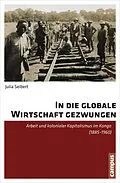 E-Book (epub) In die globale Wirtschaft gezwungen von Julia Seibert