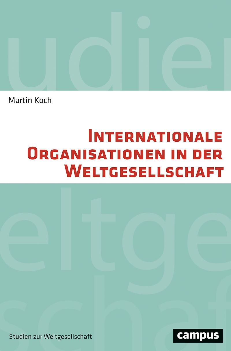 Internationale Organisationen in der Weltgesellschaft