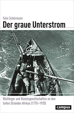 Kartonierter Einband Der graue Unterstrom von Felix Schürmann