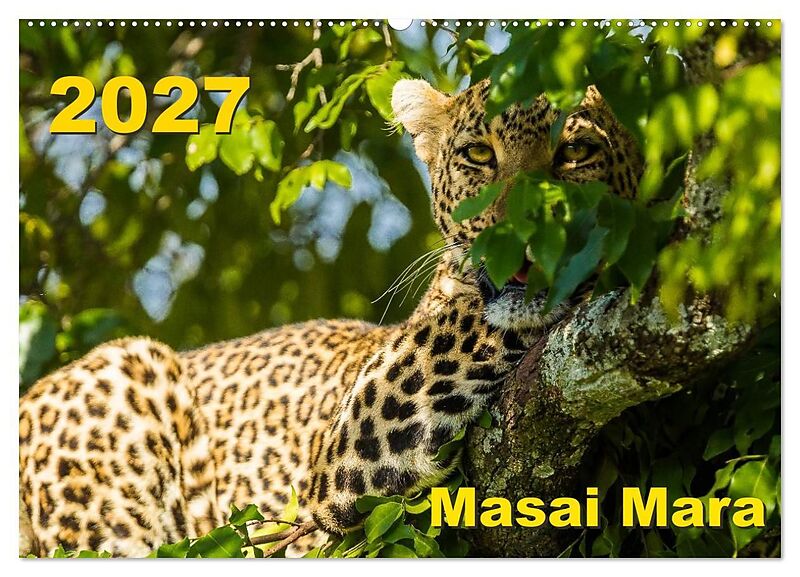 Masai Mara 2027 (Wandkalender 2027 DIN A2 quer), CALVENDO Monatskalender