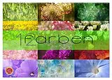Kalender 12 Farben (Wandkalender 2027 DIN A2 quer), CALVENDO Monatskalender von Martina Cross