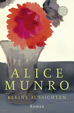 Kartonierter Einband Kleine Aussichten von Alice Munro