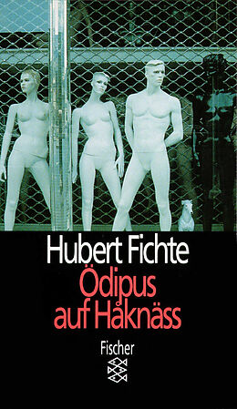 Kartonierter Einband Ödipus auf Håknäss von Hubert Fichte