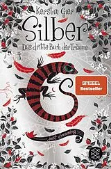 Kartonierter Einband (Kt) Silber - Das dritte Buch der Träume von Kerstin Gier