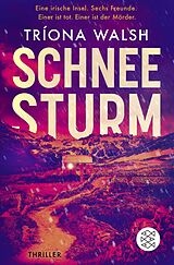 Kartonierter Einband Schneesturm von Tríona Walsh