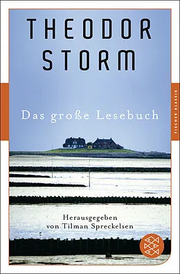 Kartonierter Einband Das große Lesebuch von Theodor Storm