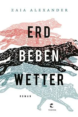 E-Book (epub) Erdbebenwetter von Zaia Alexander