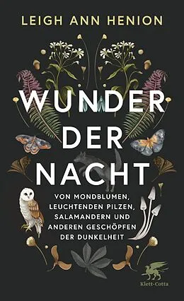 E-Book (epub) Wunder der Nacht von Leigh Ann Henion