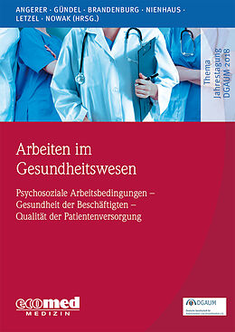 Kartonierter Einband Arbeiten im Gesundheitswesen von Peter Angerer, Harald Gündel, Stephan Brandenburg