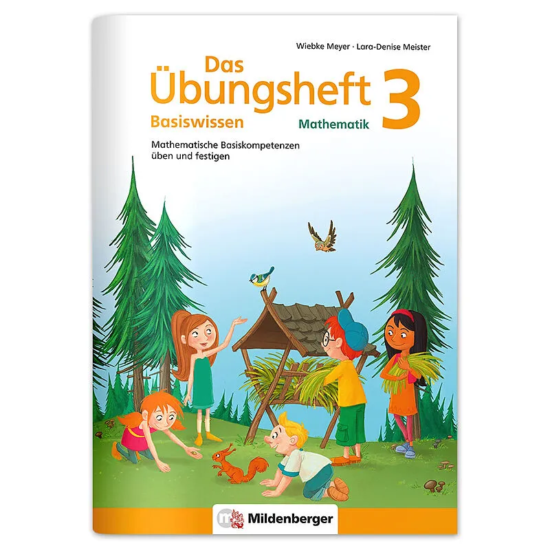 Das Übungsheft Basiswissen Mathematik 3