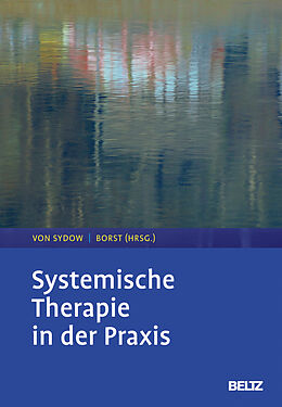 Fester Einband Systemische Therapie in der Praxis von 