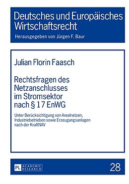 Fester Einband Rechtsfragen des Netzanschlusses im Stromsektor nach § 17 EnWG von Julian Faasch