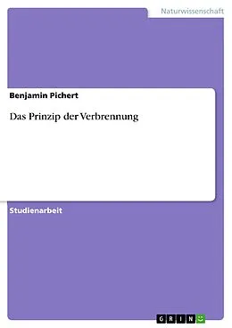 E-Book (pdf) Das Prinzip der Verbrennung von Benjamin Pichert