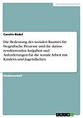E-Book (epub) Die Bedeutung des sozialen Raumes für biografische Prozesse und die daraus resultierenden Aufgaben und Anforderungen für die soziale Arbeit mit Kindern und Jugendlichen von Carolin Büdel