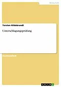 E-Book (epub) Unterschlagungsprüfung von Torsten Hildebrandt