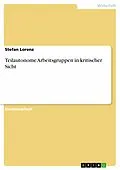 E-Book (epub) Teilautonome Arbeitsgruppen in kritischer Sicht von Stefan Lorenz