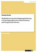 E-Book (epub) Möglichkeiten der Beschäftigungsförderung von geringqualifizierten Arbeitnehmern und Langzeitarbeitslosen von Claudia Bracht