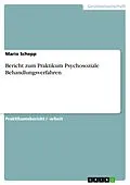E-Book (epub) Bericht zum Praktikum Psychosoziale Behandlungsverfahren von Mario Schepp