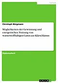 E-Book (pdf) Möglichkeiten der Gewinnung und energetischen Nutzung von wasserstoffhaltigen Gasen aus Klärschlamm von Christoph Börgmann