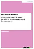 E-Book (pdf) Raumplanung auf Ebene der EU - Europäische Raumentwicklung und Zusammenarbeit von Felix Bachofer, Nadine Ritz