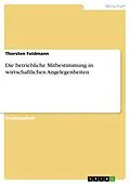E-Book (pdf) Die betriebliche Mitbestimmung in wirtschaftlichen Angelegenheiten von Thorsten Feldmann