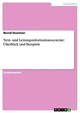 E-Book (epub) Netz- und Leitungsinformationssysteme: Überblick und Beispiele von Bernd Stummer