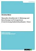 E-Book (pdf) Manuelles Erstellen der 3. Mahnung und Berechnung von Verzugszinsen (Unterweisung Industriekaufmann / -frau) von Christine Meier